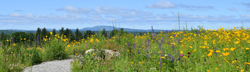 Groton Conservation Trust