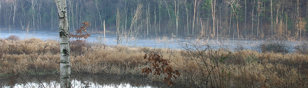 Groton Conservation Trust