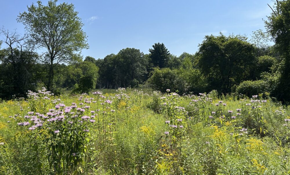 Groton Conservation Trust